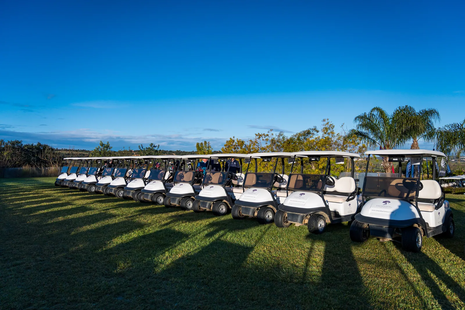 Golfe — 22