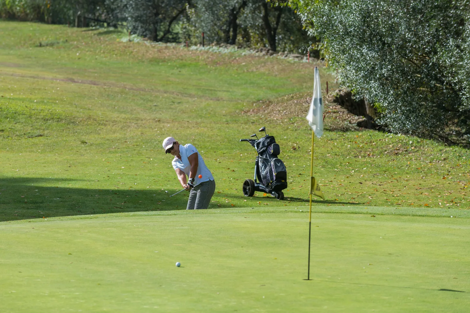 Golfe — 21