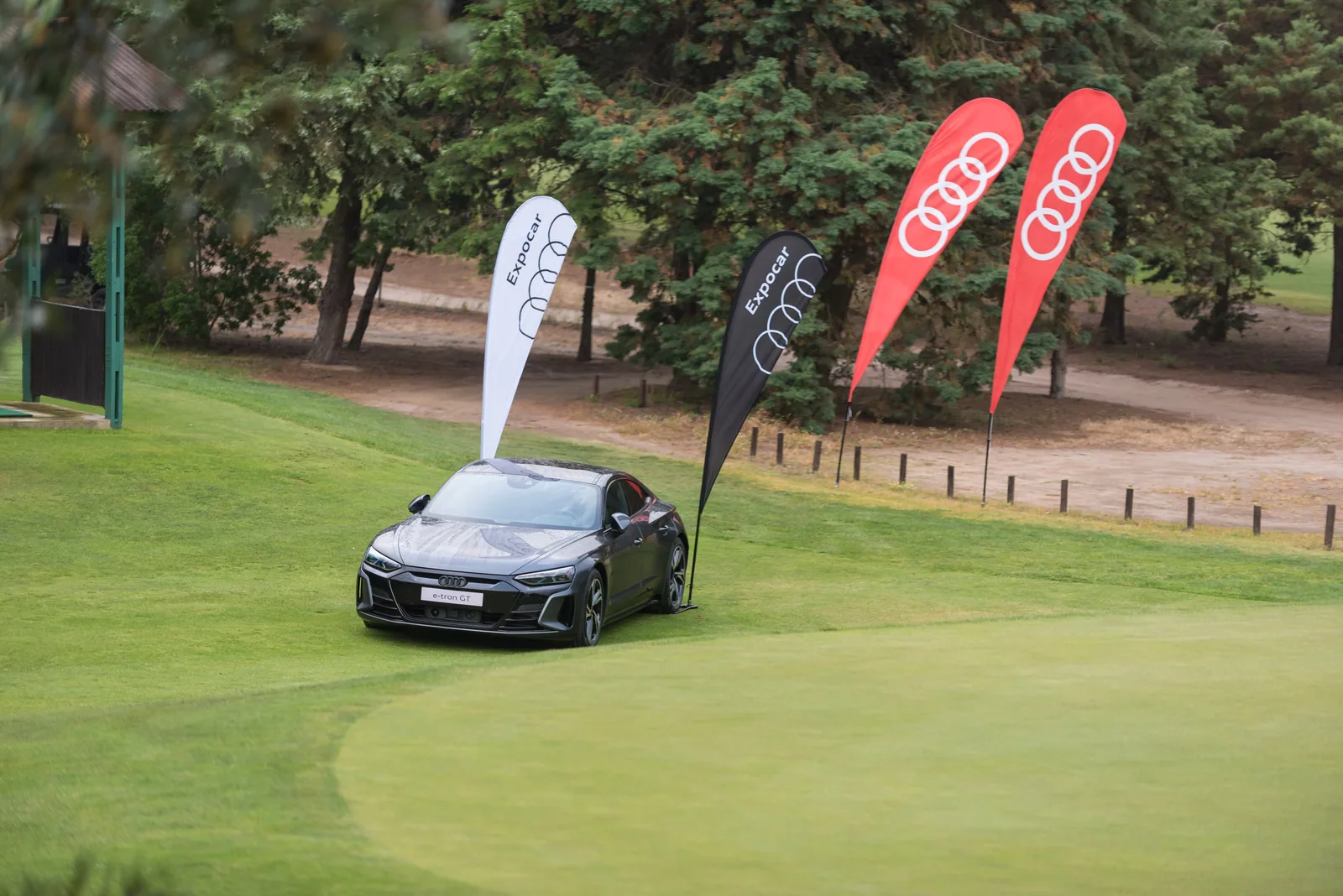 Golfe — 6
