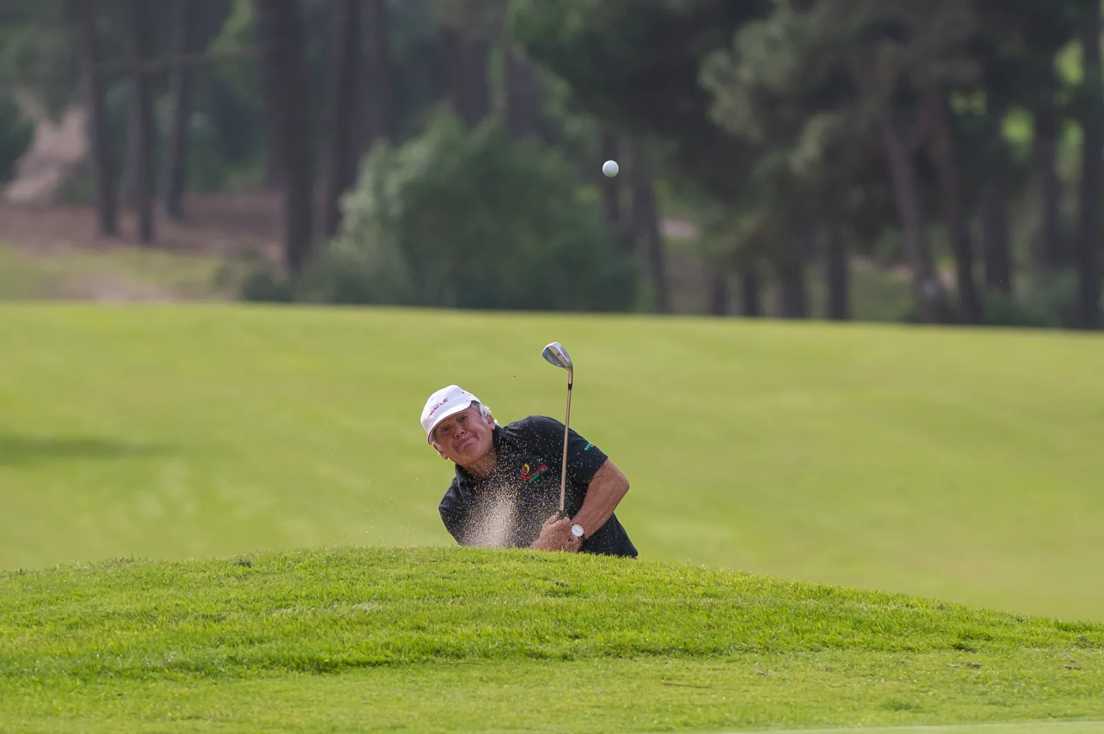 Golfe — 44