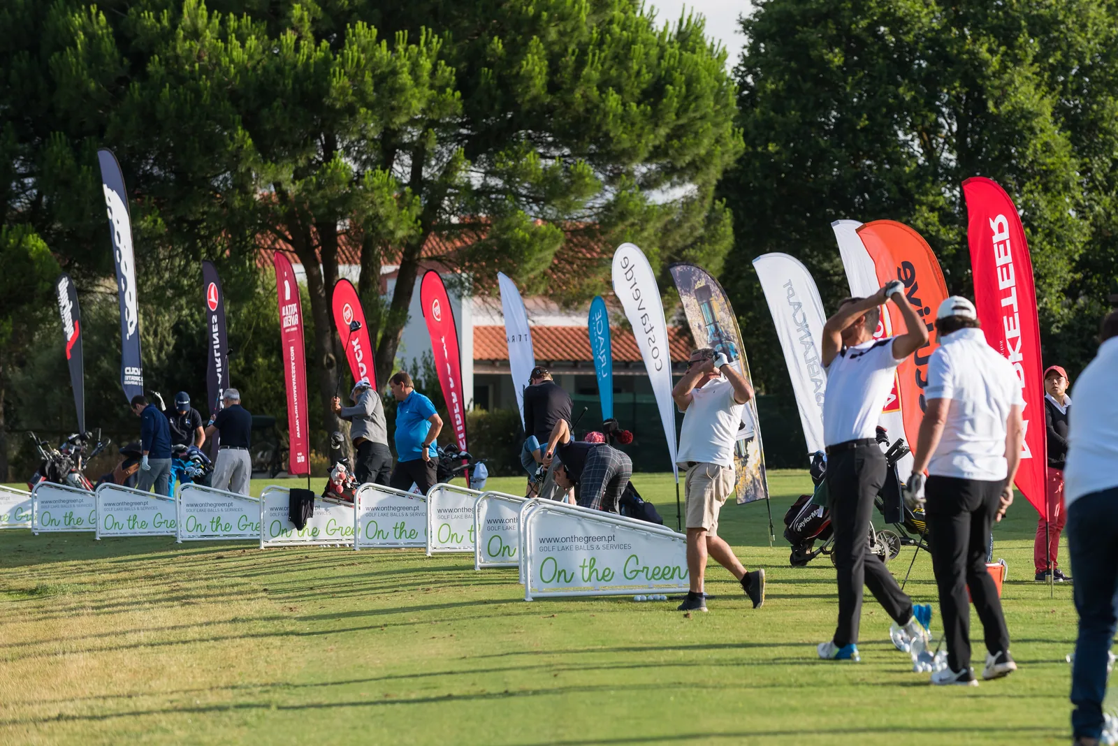 Golfe — 14